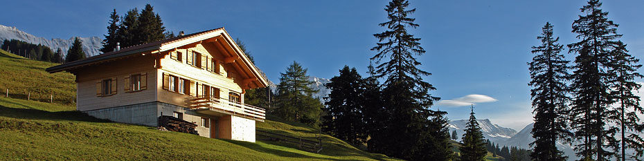 House in the Alps